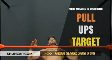 Australian Pull-Ups: Key Muscles Targeted for Strength and Tone