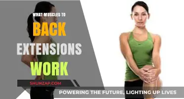 Back Extensions: Target Muscles and Benefits for Strength Training