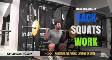 Back Squats: Target Muscles and Full-Body Strength Benefits Explained