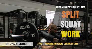 Barbell Side Split Squat: Targeted Muscles and Benefits Explained