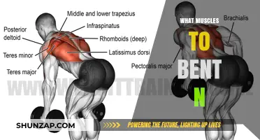 Bent-Knee Benefits: Core, Leg Muscle Workout