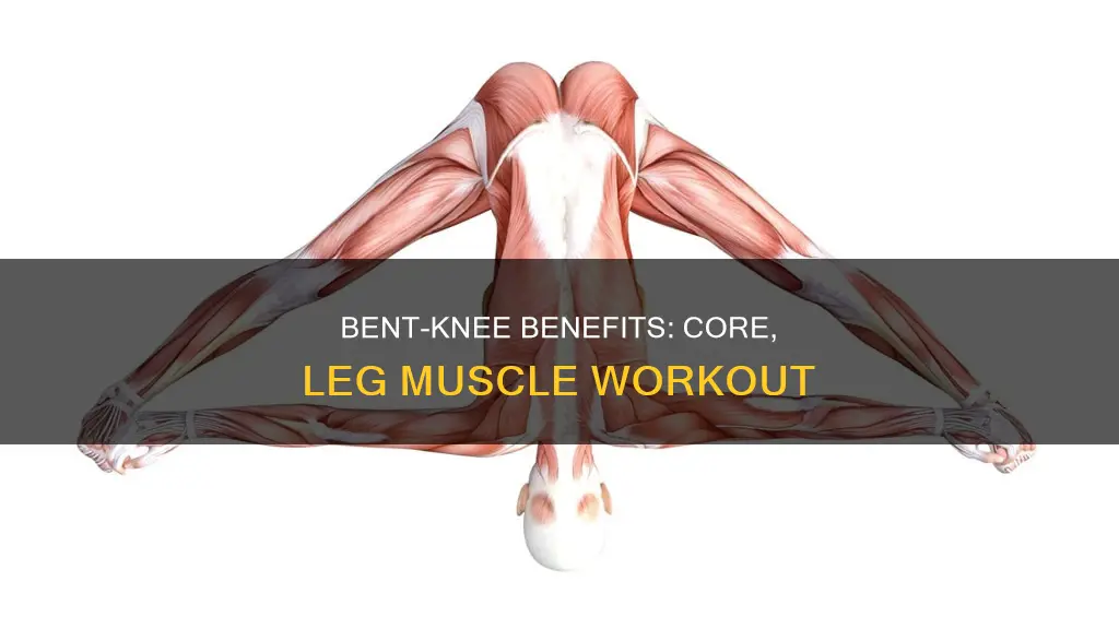 what muscles to bent n