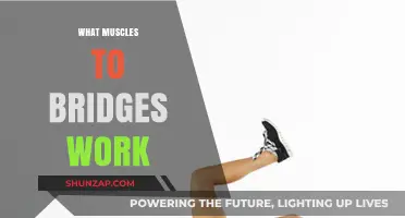 Bridge Exercises: Targeting Glutes, Core, and Lower Back Muscles