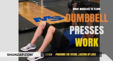 Floor Dumbbell Press Muscles: Targeted Strength Training Benefits Explained