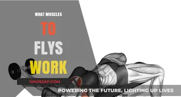 Unleash Chest and Arm Strength: Muscles Worked by Flys Explained