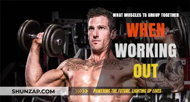 Effective Muscle Grouping Strategies for Optimal Workout Results