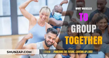 Effective Muscle Grouping Strategies for Optimal Strength and Fitness Gains