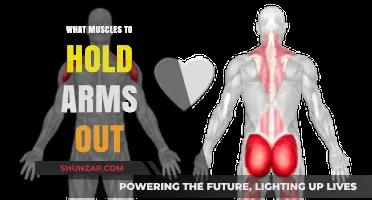Mastering Arm Extension: Key Muscles to Hold Arms Out Steadily