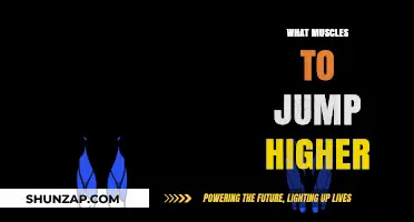 Explosive Jump Training: Targeting Key Muscles