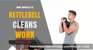 Kettlebell Cleans: Targeted Muscles and Full-Body Benefits Explained