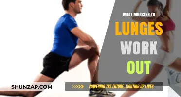 Lunges: Target Muscles, Benefits, and Effective Workout Techniques Explained