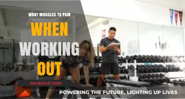 Effective Muscle Pairing Strategies for Optimal Workout Results and Gains