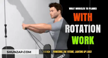 Plank with Rotation: Target Muscles and Core Benefits Explained