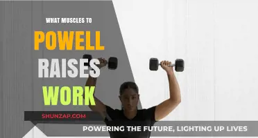 Powell Raises: Target Muscles and Benefits Explained