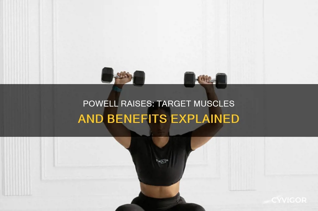 what muscles to powell raises work
