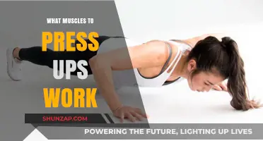 Mastering Press-Ups: Key Muscles Targeted for Strength and Tone