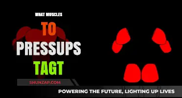 Press-ups: Which Muscles Do They Target?