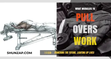 Pull Overs Workout: Targeted Muscles and Benefits Explained