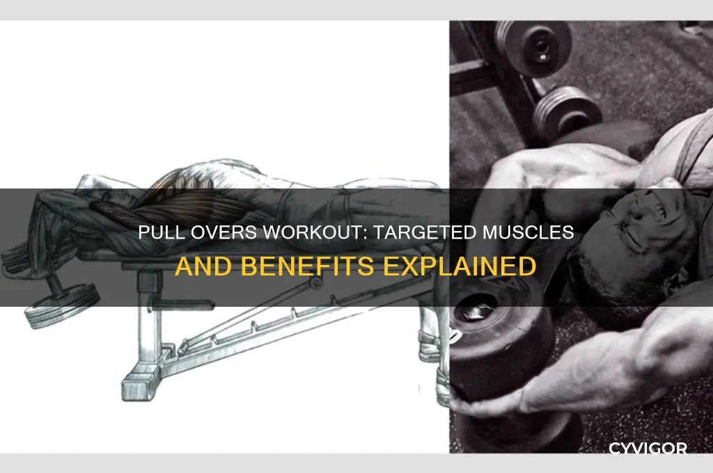 what muscles to pull overs work
