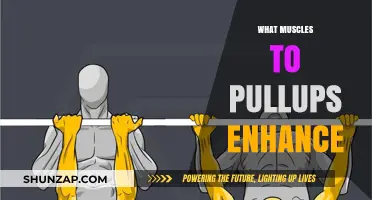 Pull-ups: The Ultimate Back and Bicep Muscle Builder