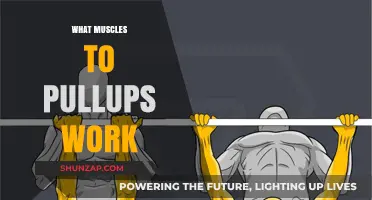 Pull-Ups: Targeting Back, Arms, and Core Muscles for Strength