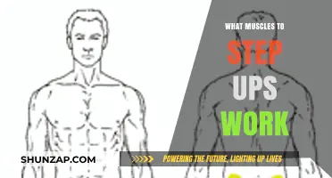 Step Ups: Targeting Glutes, Quads, Hamstrings, and Core Muscles