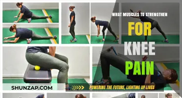 Strengthen These Muscles to Relieve Knee Pain and Improve Mobility