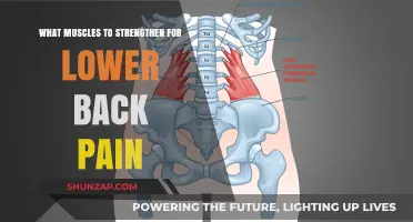 Strengthen These Muscles to Relieve and Prevent Lower Back Pain