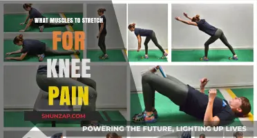 Effective Stretches to Relieve Knee Pain and Improve Mobility