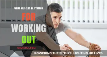Essential Muscles to Stretch for Optimal Workout Performance and Recovery