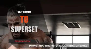 Superset Secrets: Maximizing Muscle Growth with Efficient Training