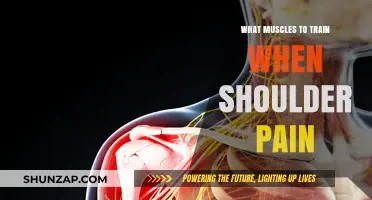 Relieve Shoulder Pain: Target These Key Muscles for Strength and Recovery