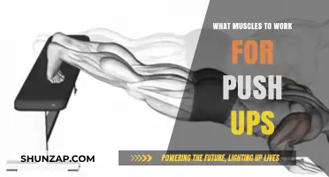 Mastering Push-Ups: Key Muscles to Target for Strength & Form