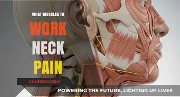 Effective Neck Pain Relief: Targeting Key Muscles for Strength and Flexibility