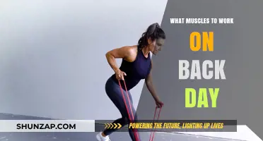Sculpt Your Back: Target These Key Muscles for Strength and Definition