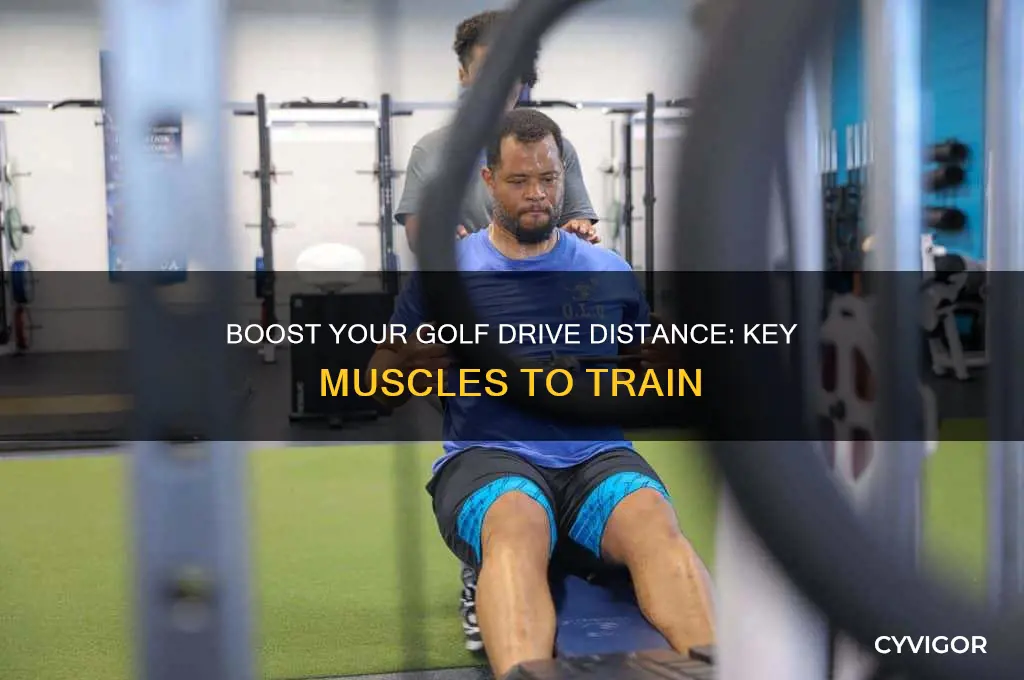 what muscles to work on for a longer golf drives