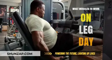 Sculpt Strong Legs: Target Muscles for an Effective Leg Day Workout