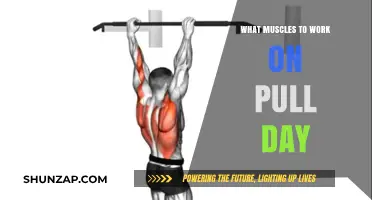 Maximize Pull Day: Targeting Back, Biceps, and Rear Delts Effectively