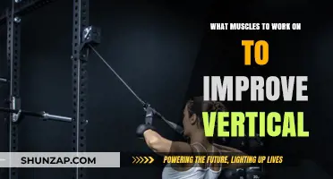 Jump Higher: Target Muscles to Boost Your Vertical Leap