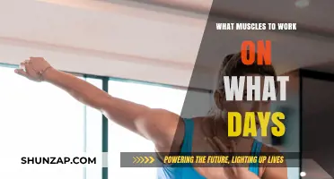Strategic Muscle Group Splits: Optimize Your Weekly Workout Routine