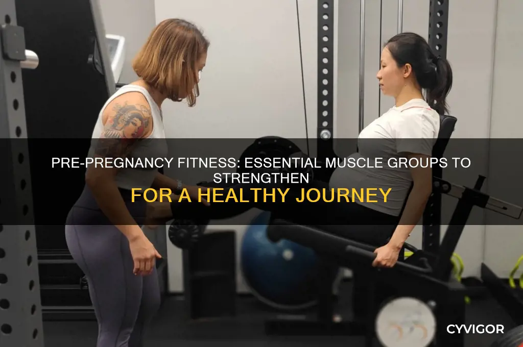 what muscles to work out before pregnancy