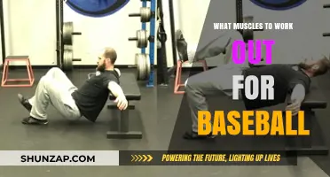 Essential Baseball Muscles: Targeted Workouts for Power and Performance