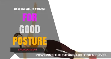 Strengthen These Muscles for Better Posture and Alignment