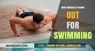 Essential Muscles to Target for Swimming Strength and Efficiency