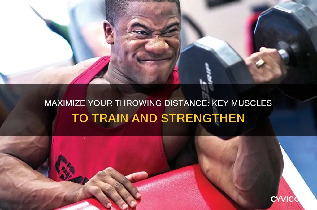what muscles to work out to throw farther