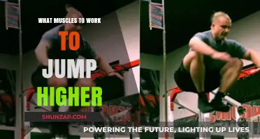 Unlock Explosive Leaps: Key Muscles to Train for Higher Jumps