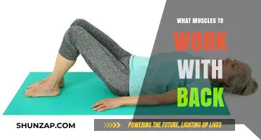 Strengthen Your Back: Target These Key Muscles for Optimal Results