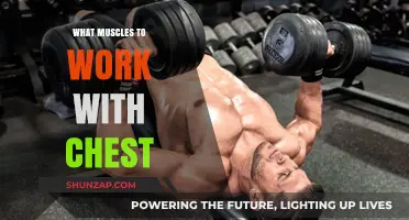Maximize Chest Workouts: Target Muscles for Strength and Definition