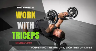 Maximize Arm Strength: Best Muscles to Pair with Triceps Workouts