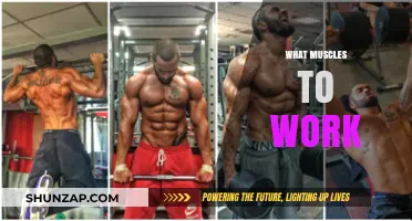 Targeted Muscle Groups: Essential Exercises for Strength and Balance